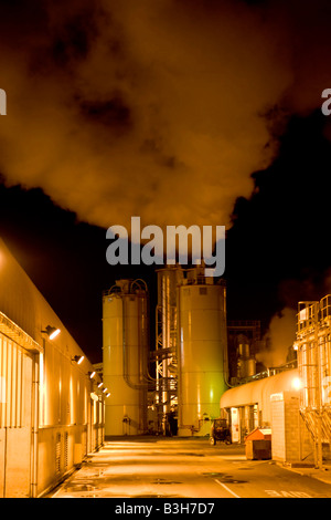 Polpa di Tasmania e cartiera Nelson Nuova Zelanda Foto Stock