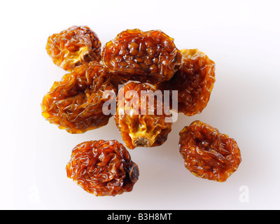 Bacca inca - noto anche come Cape Gooseberry, agauaymanto bacche o Goldenberries. fonte di vitamina P e bioflavinoids Foto Stock