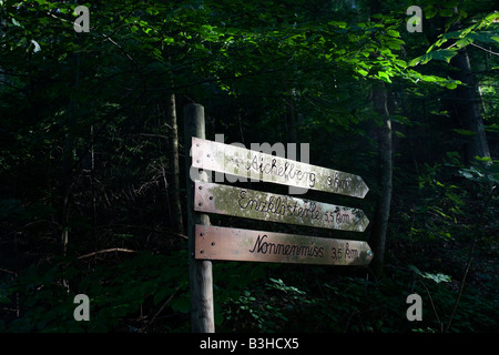 Itinerario a piedi segno segna la distanza in km attraverso la foresta scura in tedesco la regione della Foresta Nera vicino al villaggio di Kälbermühle Foto Stock