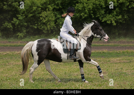 Ragazza ride sulla baia pony Foto Stock