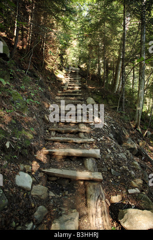 Appalachian Trail Beaver Brook Trail durante i mesi estivi si trova nelle White Mountains del New Hampshire USA Foto Stock