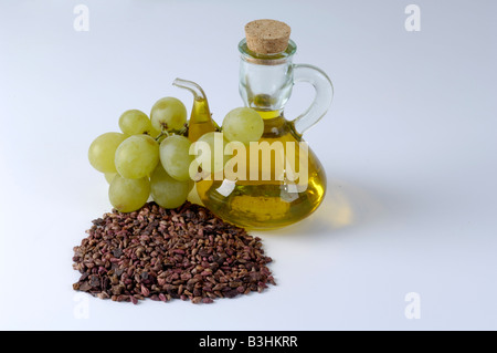 Comune di uva, uva da vino olio di semi Foto Stock