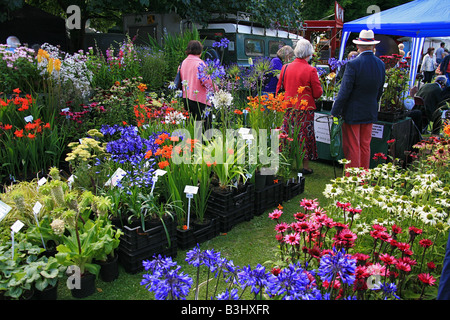 Pressione di stallo di piante a Taunton Flower Show, Somerset, Inghilterra, Regno Unito Foto Stock