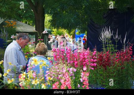 Pressione di stallo di piante a Taunton Flower Show, Somerset, Inghilterra, Regno Unito Foto Stock