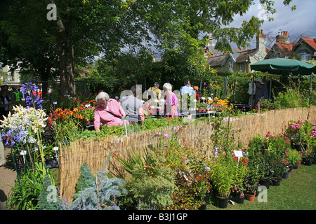 Pressione di stallo di piante a Taunton Flower Show, Somerset, Inghilterra, Regno Unito Foto Stock