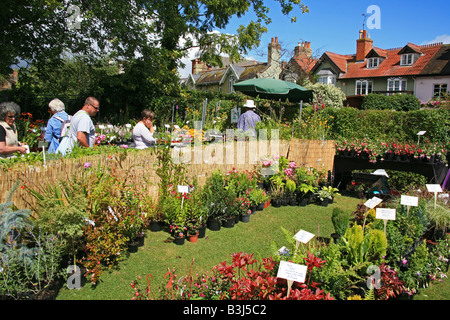 Pressione di stallo di piante a Taunton Flower Show, Somerset, Inghilterra, Regno Unito Foto Stock