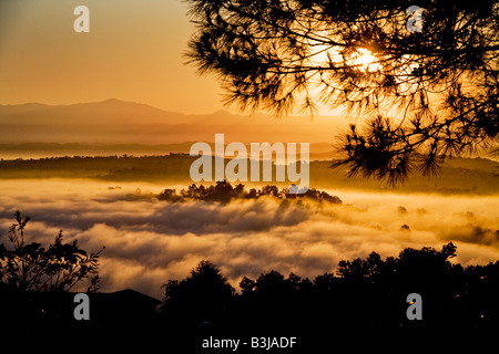 Sole di mattina si illumina e inizia a evaporare nebbia pesante nella valle di corona Laguna Niguel California Foto Stock