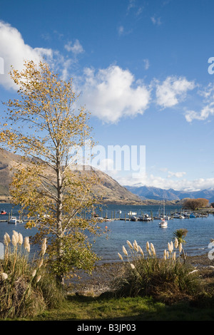 Wanaka Otago Isola del Sud della Nuova Zelanda vista sulla marina a sud del Lago Wanaka a riva occidentale dalla passeggiata a lago Foto Stock