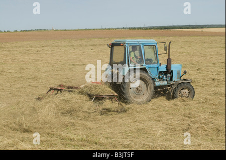 Rastrellando la paglia in una fattoria vicino a Panevezys Lituania Foto Stock