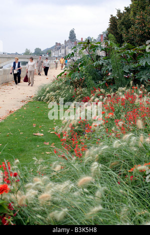 Omaggio COMUNALE IMPIANTI A AMBOISE VALLE DELLA LOIRA UTILIZZANDO PENNISETUM VILLOSUM NICOTIANA x sanderae Piante e salvia COCCINEA Foto Stock