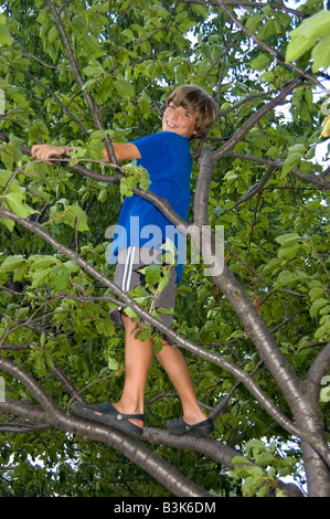 Un giovane ragazzo in una struttura ad albero Foto Stock