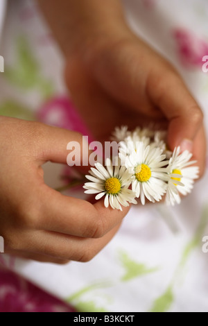 Bambina di cinque anni detiene il mazzo di margherite Foto Stock