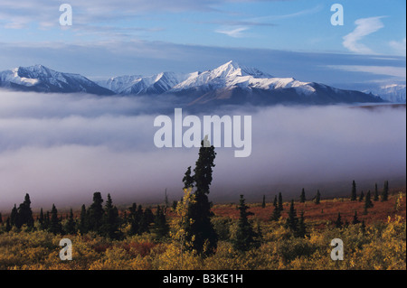 La gamma della montagna e la nebbia Alaska USA Foto Stock