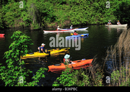 Rematori rientrano in linea sulla triste palude Canal durante il 3 maggio 2008 pagaia per la frontiera Foto Stock