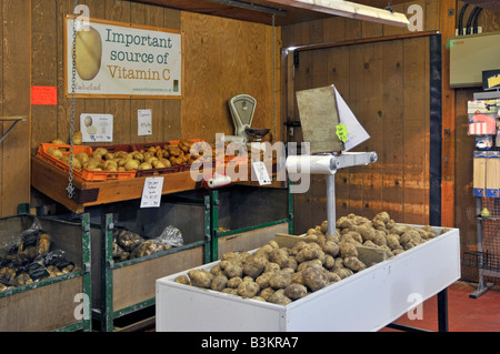 All'interno del fienile Calcott Hall, un'azienda agricola a conduzione familiare, un'esposizione di patate coltivate localmente, Brentwood Essex Inghilterra, Regno Unito Foto Stock