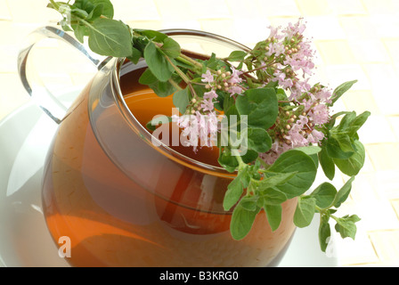 Herbtea fatta di wild majoram origanum vulgare Origano comune Foto Stock