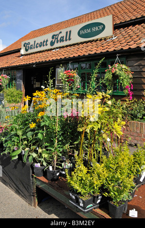 Calcott Hall Farm Shop e la selezione di piante da giardino in vendita Foto Stock