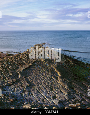 Cocklawburn Beach Northumberland Regno Unito 2008 Foto Stock