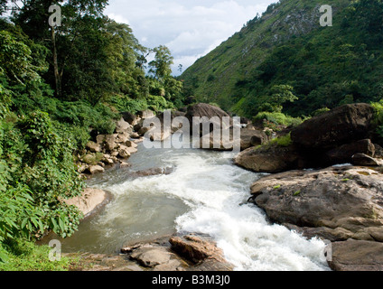 Una splendida vista del ruscello di montagna che prosegue da cascate in 'silenzio Valley " foresta di Munnar distretto di Kerala in India. Foto Stock