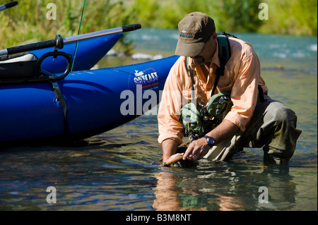 La pesca con la mosca sulla parte inferiore del fiume Owyhee un nastro blu trota fario pesca in sud-est Oregon Foto Stock