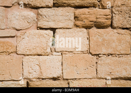 Antico muro di pietra fatta di weathered blocchi di arenaria Foto Stock