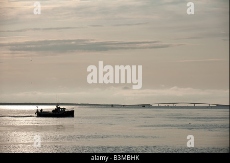 Una lobster boat esce dalla collina di piccione, Lameque Island, New Brunswick, Canada per controllare le trappole Foto Stock