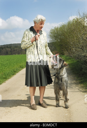 Schnauzer gigante con la vecchia donna / Foto Stock