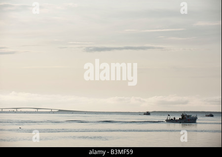 Una lobster boat esce dalla collina di piccione, Lameque Island, New Brunswick, Canada per controllare le trappole Foto Stock