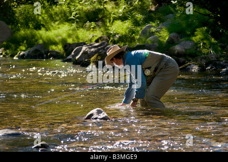 Residente locale volare i pesci per le catture di trote e rilascia un arcobaleno su Gore Creek Vail Colorado in agosto Foto Stock