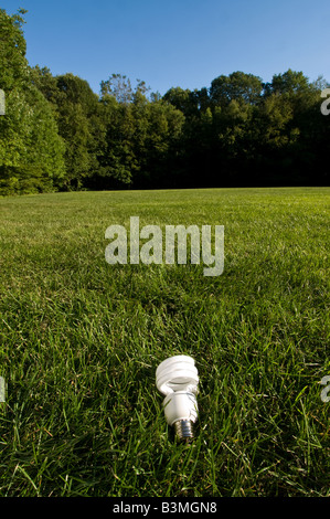Una lampada compatta a fluorescenza giacente in un campo di erba Foto Stock