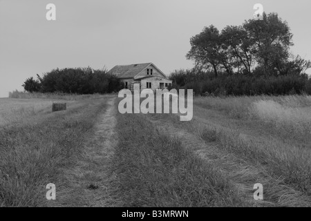 Fattoria abbandonata, Saskatchewan Foto Stock