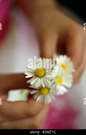 Bambina di cinque anni detiene il mazzo di margherite Foto Stock