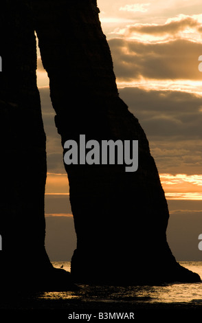 Francia, Normandia, Etretat, di gabbiano e Porte d'Aval arch Sunset Foto Stock