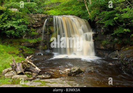 Oriente Gill Falls, una piccola cascata in prossimità di Keld, Swaledale superiore, Yorkshire Dales National Park, England Regno Unito Foto Stock