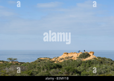 Torrey Pines State preservare, San Diego, California Foto Stock