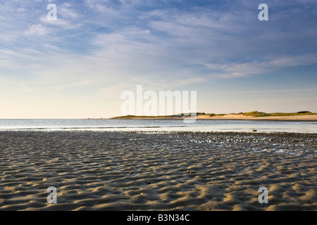 Appartamenti di fango a bassa marea nella baia del Delaware estuario di Cape Henlopen State Park, Lewes, Delaware, Stati Uniti d'America. Foto Stock