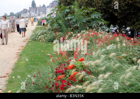 Omaggio COMUNALE IMPIANTI A AMBOISE VALLE DELLA LOIRA UTILIZZANDO PENNISETUM VILLOSUM NICOTIANA x sanderae Piante e salvia COCCINEA Foto Stock