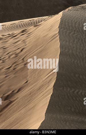 Un rilievo sulla parte superiore di una duna di sabbia a Maspalomas all'alba a 250 ettari di riserva naturale scolpite dal vento, Gran Canaria Foto Stock