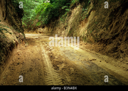 Il loess Gorge gola tortuosa strada Foto Stock