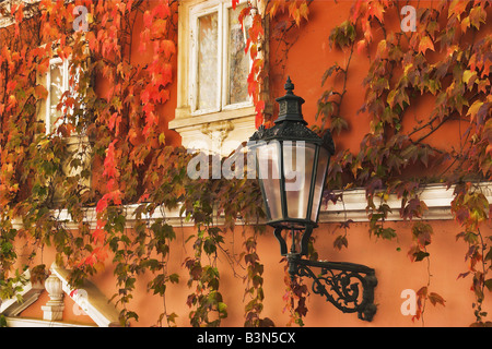 Foglie di autunno sulle pareti della vecchia Praga Foto Stock