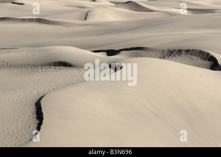 Le dune di sabbia a Maspalomas a 250 ettari di riserva naturale scolpite dal vento del sud di Gran Canaria Isole Canarie Spagna Foto Stock