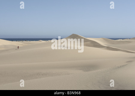 Le dune di sabbia a Maspalomas a 250 ettari di riserva naturale scolpite dal vento del sud di Gran Canaria Isole Canarie Spagna Foto Stock