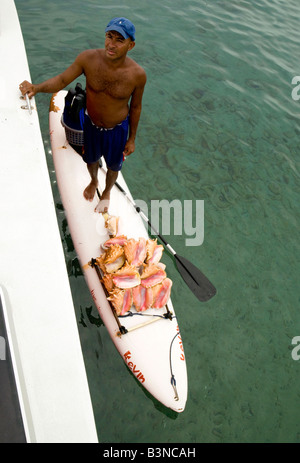 Un uomo locale su una tavola da surf vendita di conchiglie di mare, Anse de Cochon, St Lucia, Caraibi, West Indies Foto Stock