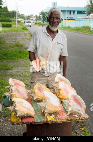 Old St Lucia uomo vendere conch gusci per i turisti, punto Serafino, Castries, St Lucia, West Indies Foto Stock