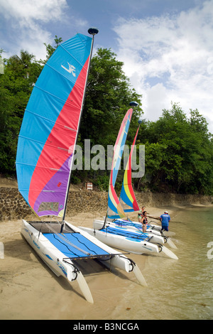 Hobie-gatti sulla spiaggia, Windjammer Landing, St Lucia, West Indies Foto Stock