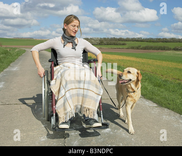 Donna in carrozzella con labrador retriever / Foto Stock