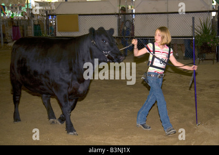 Ragazza che mostra un Black Angus Cow ha sollevato nel corso di 4 h a giudicare presso la Western Idaho Fair a Boise Idaho Foto Stock