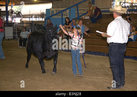 Ragazza che mostra un Black Angus Cow ha sollevato per un 4 H giudice presso la Western Idaho Fair a Boise Idaho Foto Stock