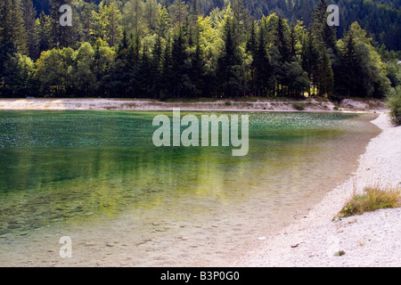 Acqua cristallina presso la sorgente del fiume Sava, vicino a Kranjska gora in Slovenia. Foto Stock