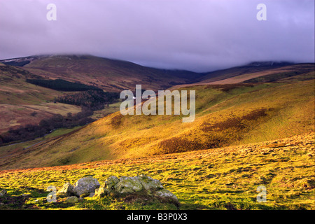 Luce dorata splendenti su una valle, illuminazione su per la collina e i lati in un colore dorato Foto Stock